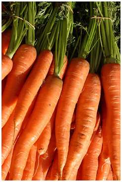 vitamin a and exercise Vitamin A nutrition | Hillcliff Personal Training North London - Barnet